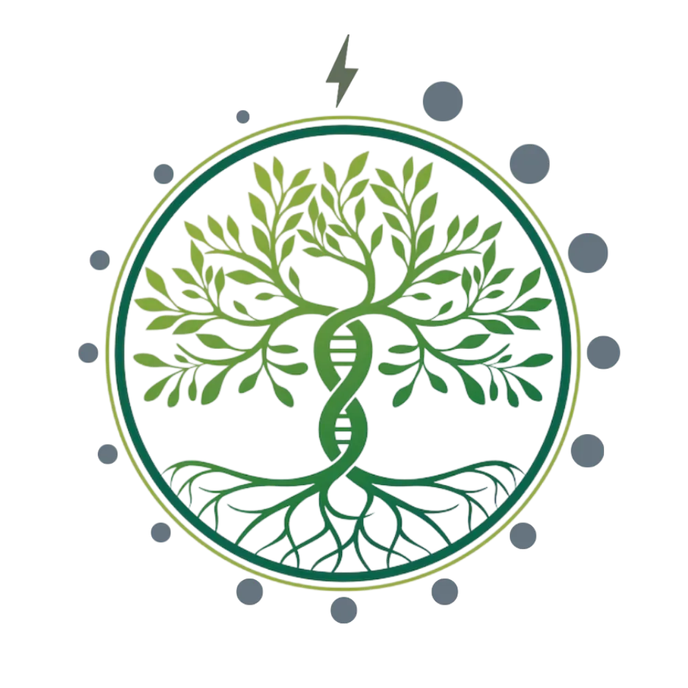 The Natural Healing Spa | 