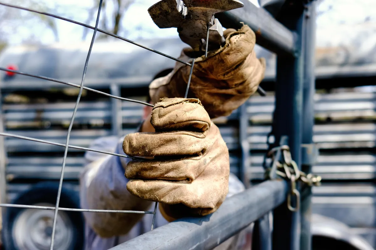 Chain Link Fence Installation