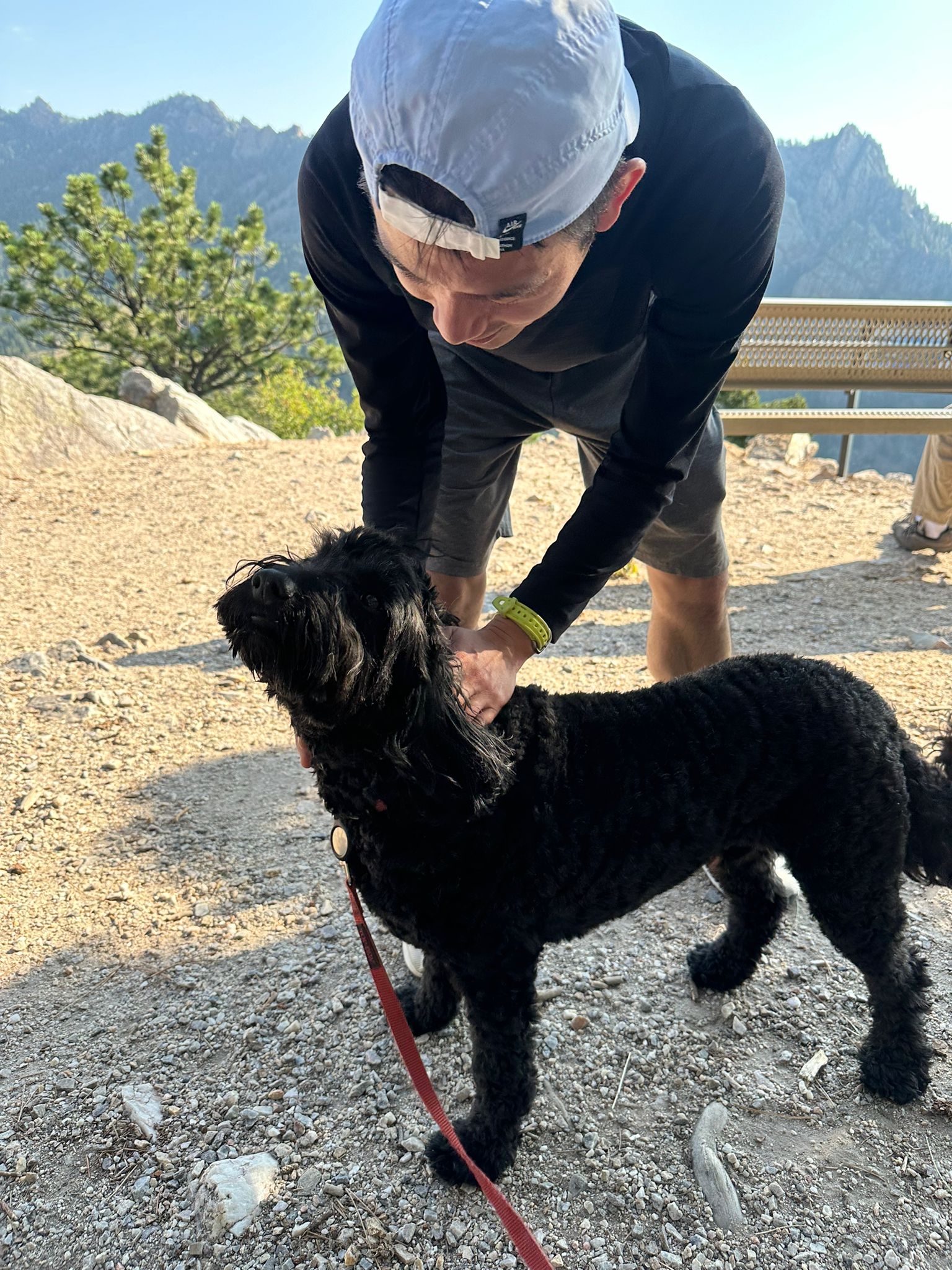 A dog walking in the snow near a fence