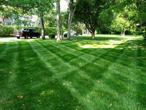 Commercial Lawn Care in Englewood, FL