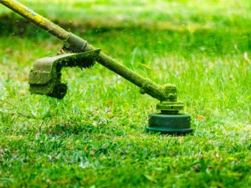 Weed Eating / String Trimming in Englewood, FL