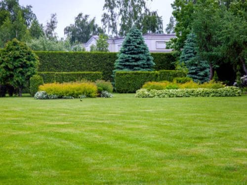 Residential Lawn Care in Englewood, FL