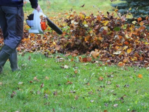 Leaf Blowing & Cleanup in Englewood, FL