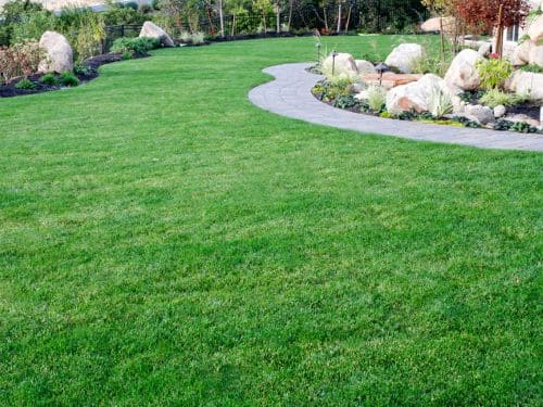 Lawn Edging Englewood, FL