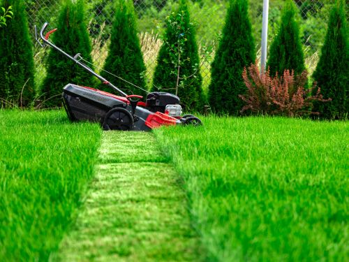 Landscaping Englewood, FL