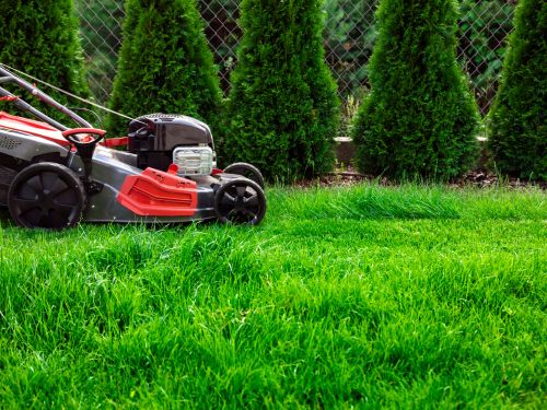 Weed Removal Englewood, FL