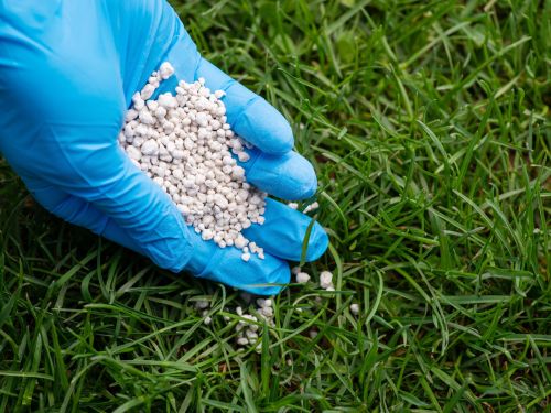 Commercial Lawn Care Englewood, FL