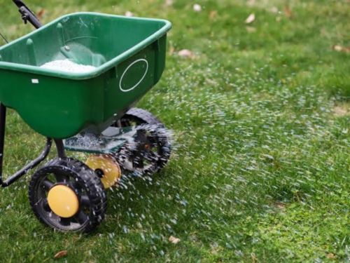 Lawn Pest & Bug Control Englewood, FL
