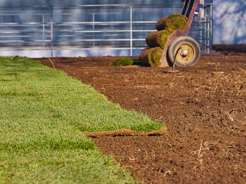 Sod Installation Englewood, FL