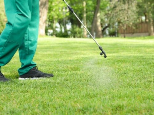 Residential Lawn Care Englewood, FL