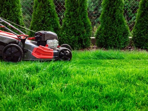 Weed Removal Englewood, FL