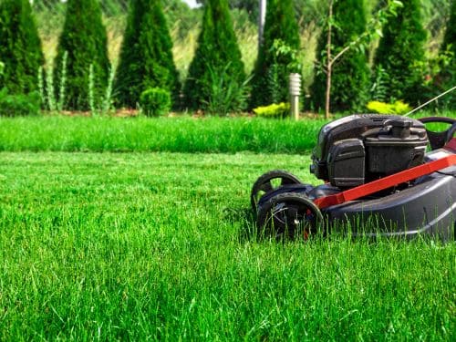 Englewood, FL Lawn Mowing