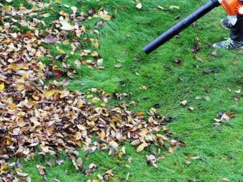 Venice, FL Leaf Blowing & Cleanup