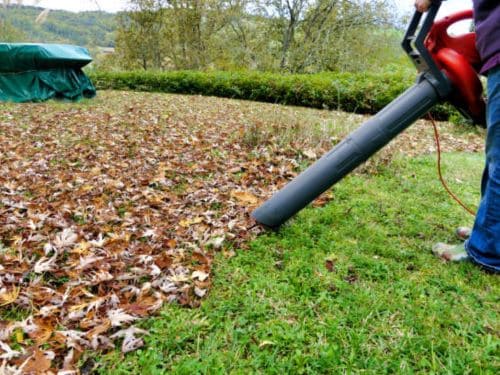  Lawn Mowing