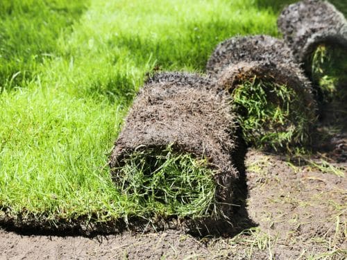 Venice, FL Sod Installation
