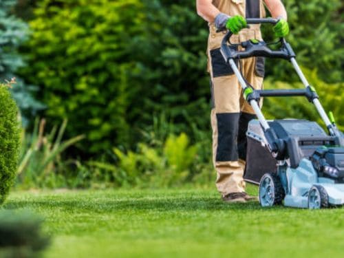  Lawn Mowing