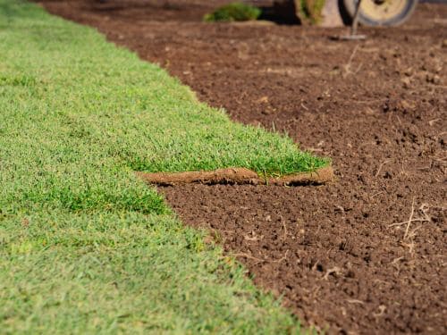  Lawn Mowing
