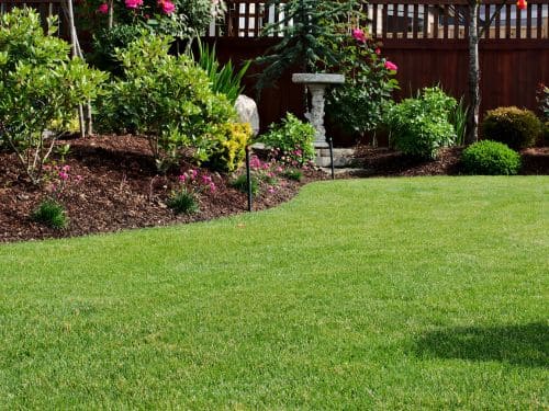 Venice, FL General Yard Maintenance