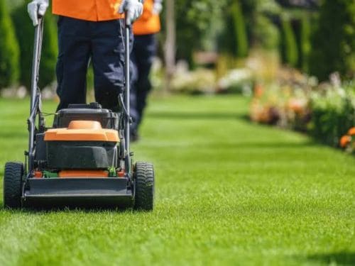  Lawn Mowing