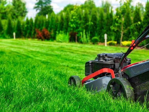Lawn Mowing