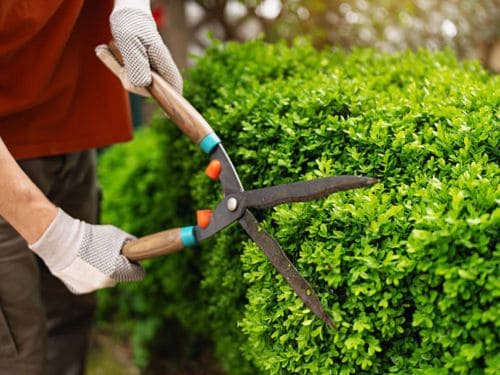  Lawn Mowing