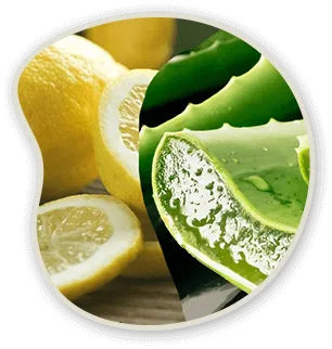 Metanail Complex Lemon Peel and Aloe Vera