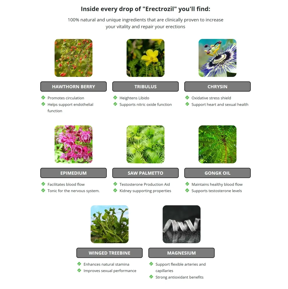 Erectrozil Ingredients