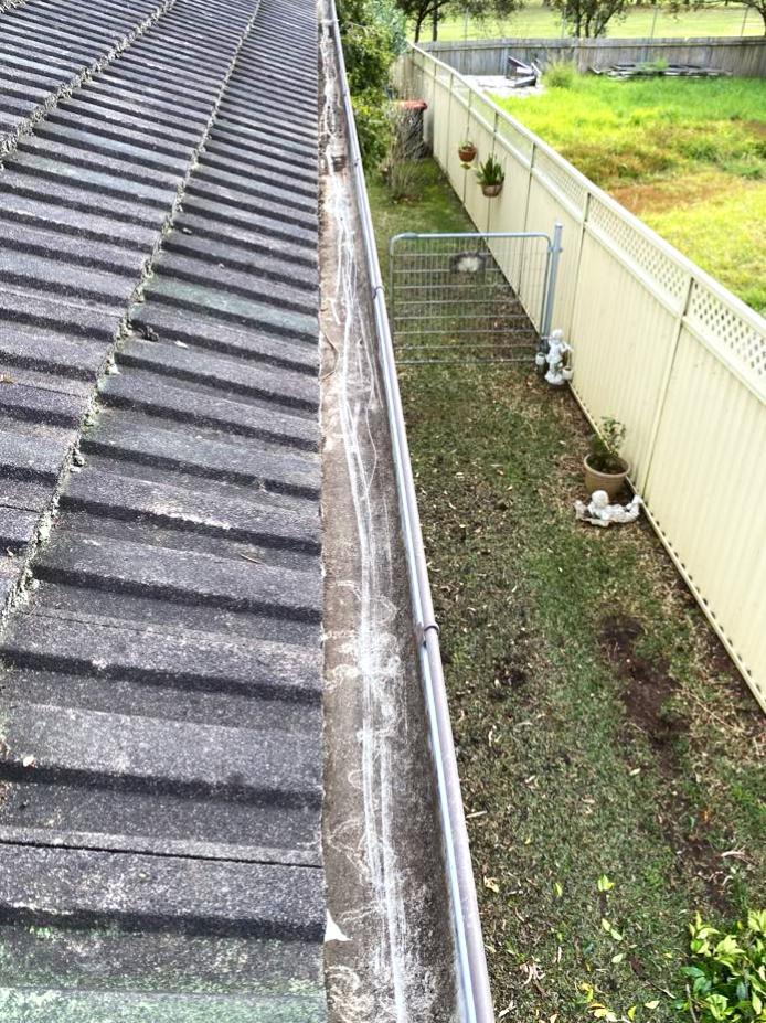 Gutter Cleaning