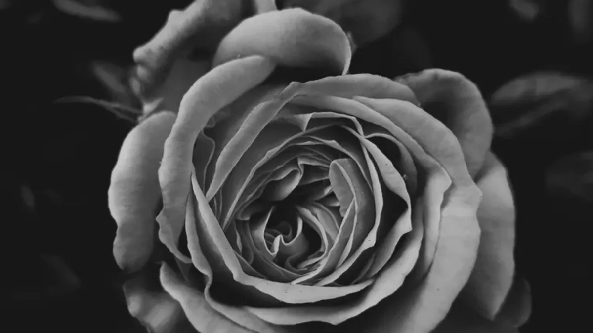 Danielle Aubrey Smith creating safe space for relational healing and growth