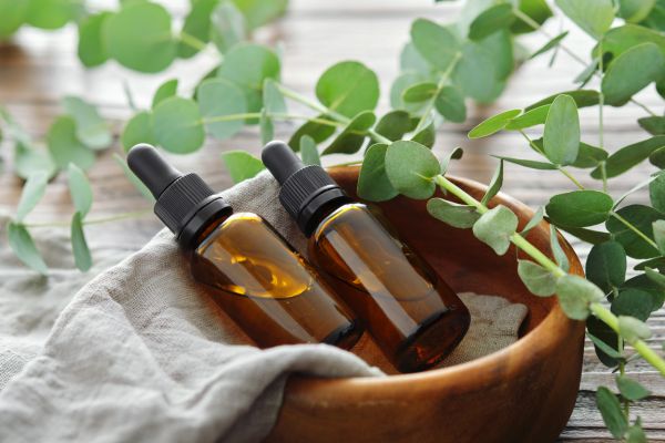 Organic Essential Oils for Aromatherapy: Benefits, Uses, and How to Choose the Best Oils