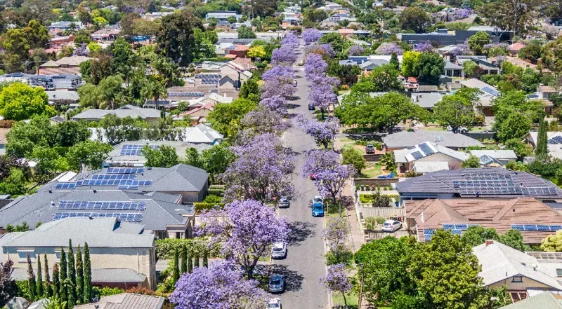 Adelaide North suburban street