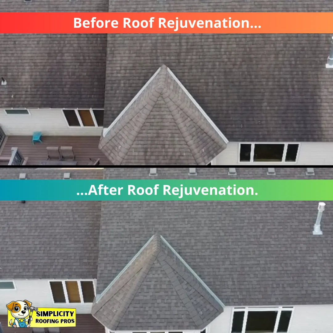 roof repair and roof rejuvenation new braunfels