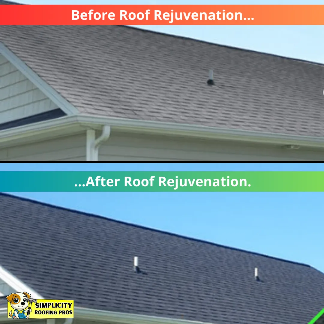 roof repair schertz