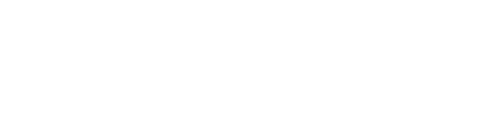 Digital Marketing Services