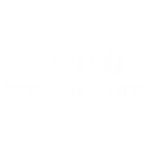 Fireworks stand near me