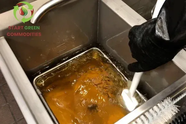 How Regular Oil Filtration Can Save Restaurants Thousands”