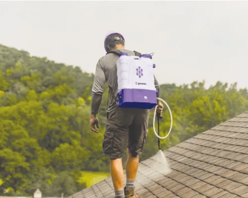 Roof Rejuvenation