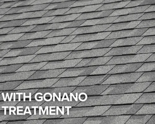Acme Gonano Protection