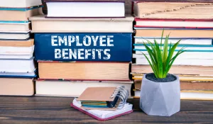college admissions consulting as an employee benefit