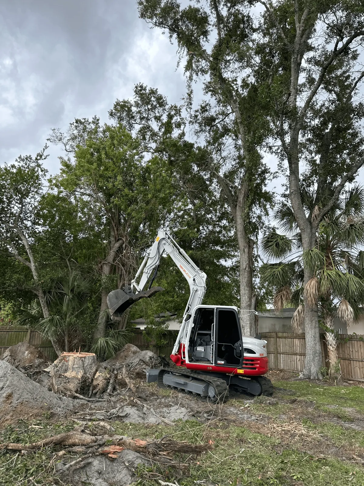 Land Clearing services 