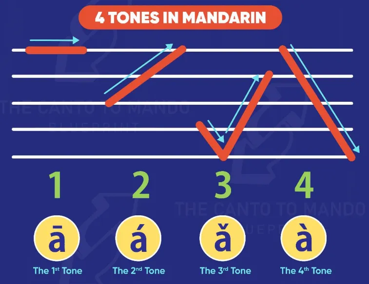 Mandarin vs. Cantonese: What's the difference? An easy guide