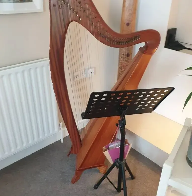 Quick Fix Removals handling specialist valuable harp instruments transport Dublin