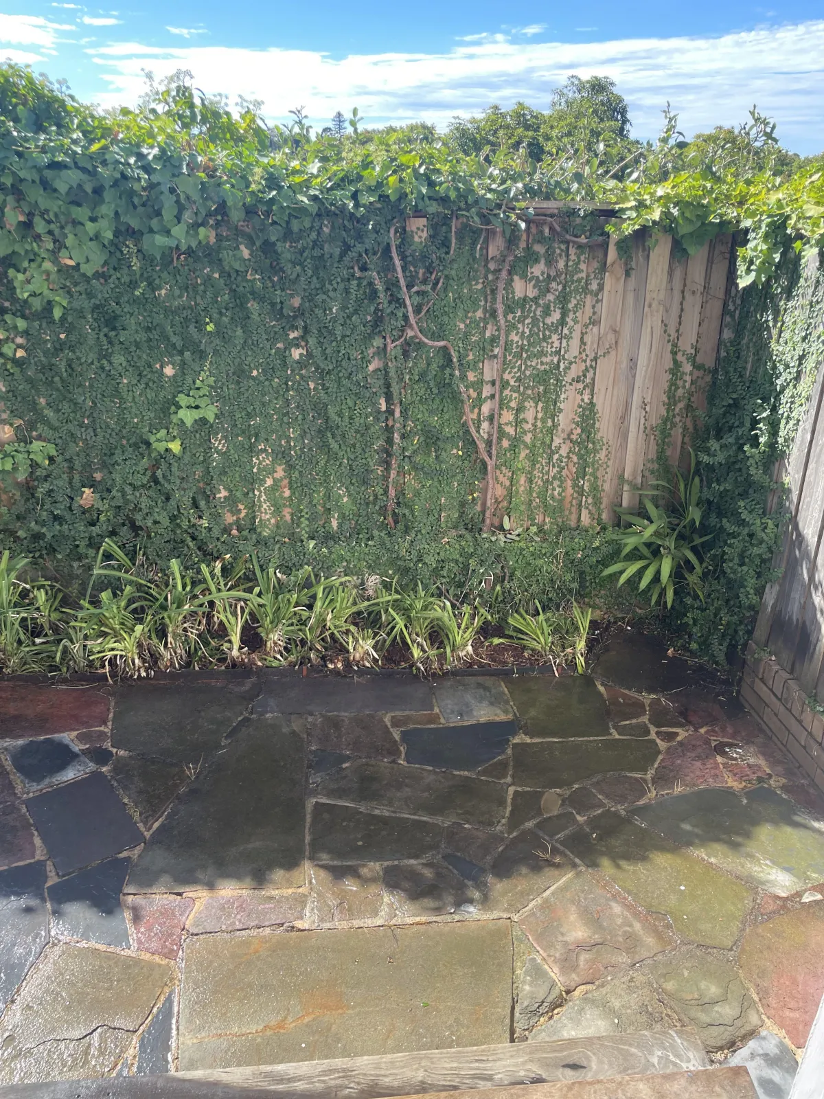 Weeding experts in Montmorency