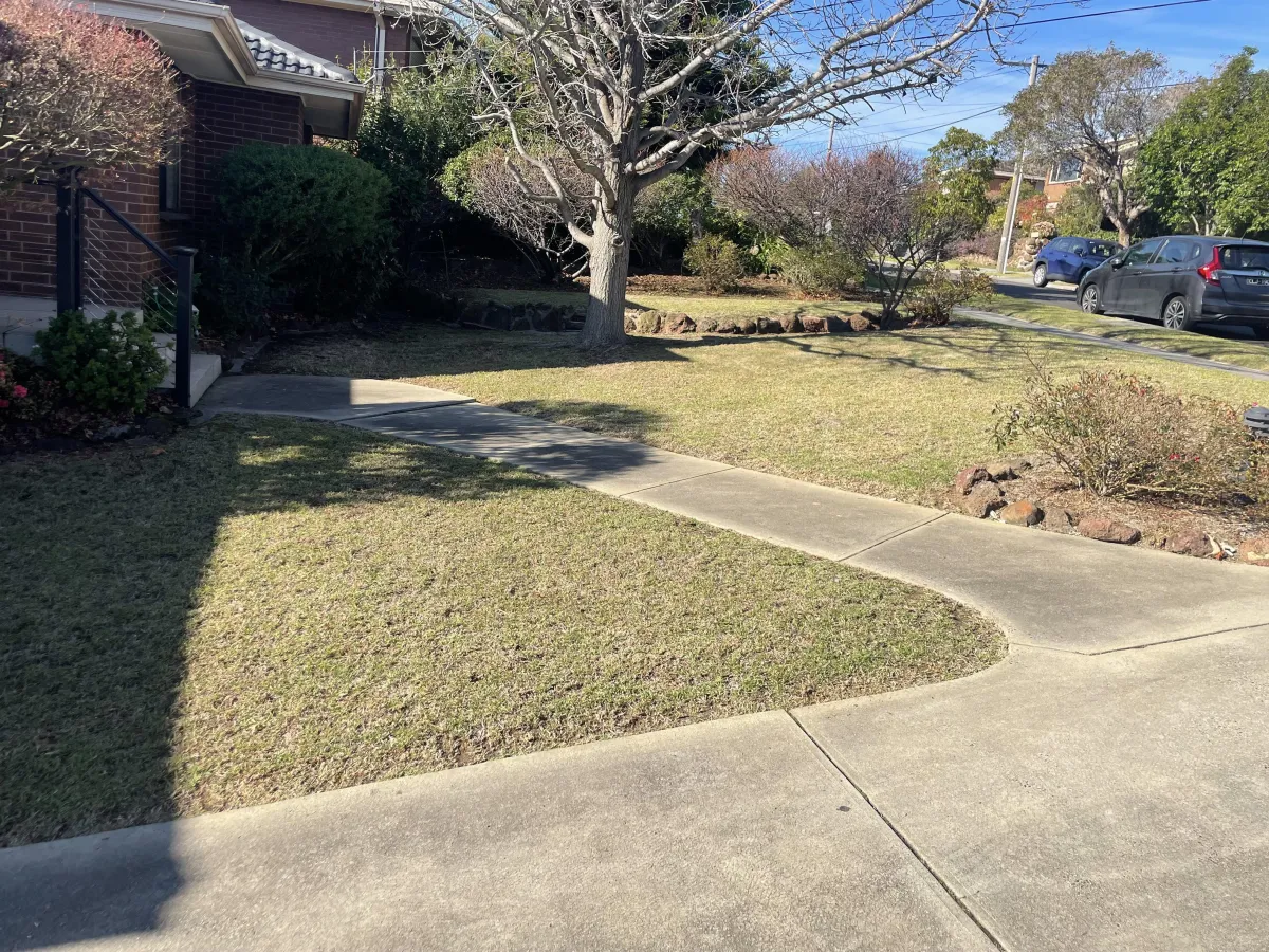 affordable Lawn Mowing in Montmorency
