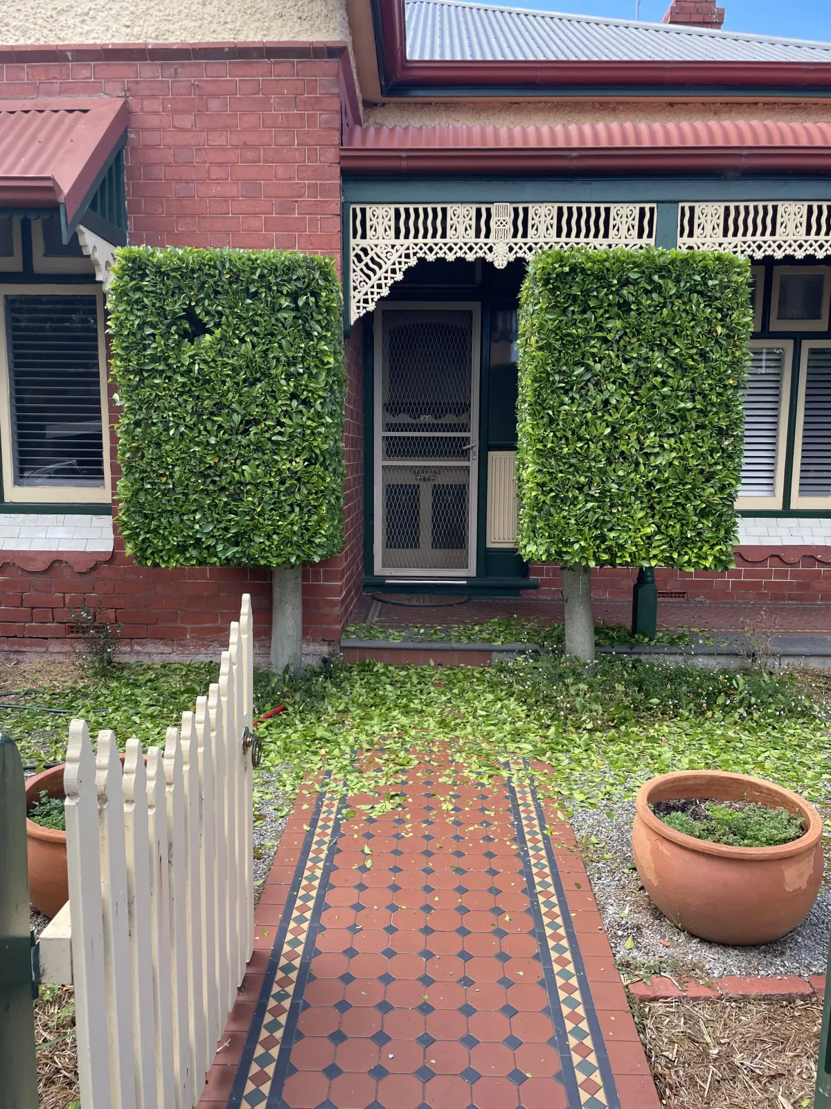 expert hedge trimming services - Montmorency, Greensborough, Bulleen, and Balwyn