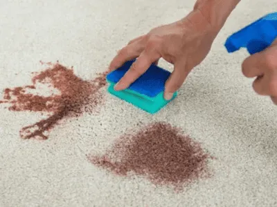  Greater Salt Lake City