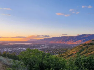 Greater Davis County Carpet Cleaning