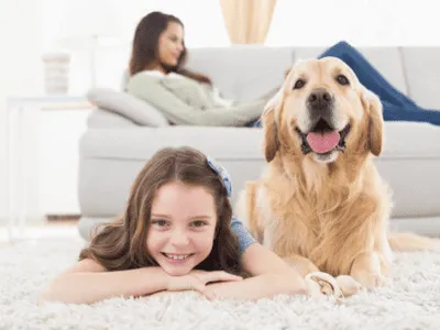 Greater Utah County Urine Stains & Odors