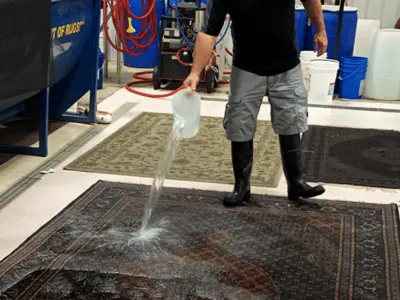 Carpet Cleaning Greater Salt Lake City