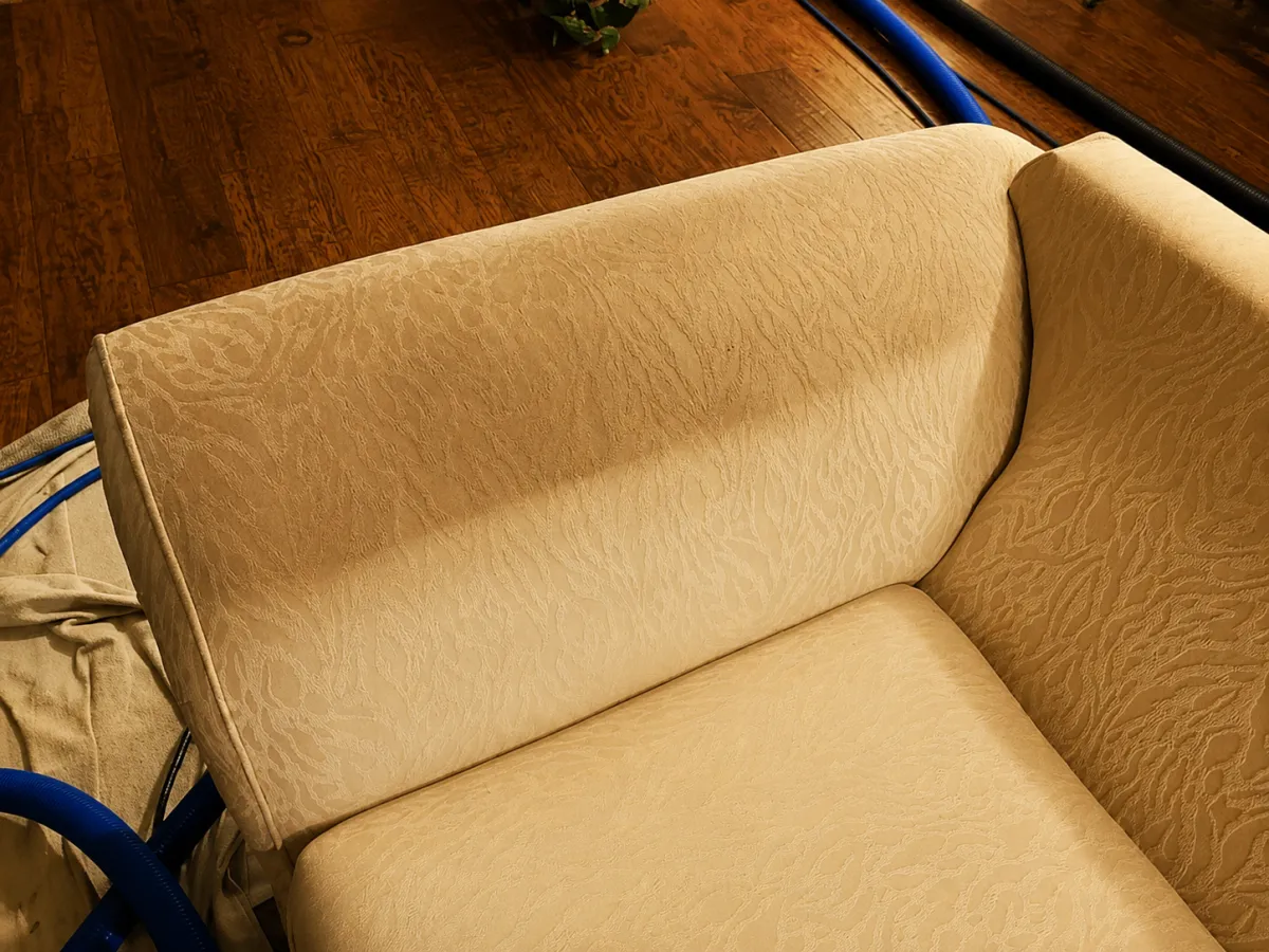 Upholstery Cleaning in Scripps Ranch